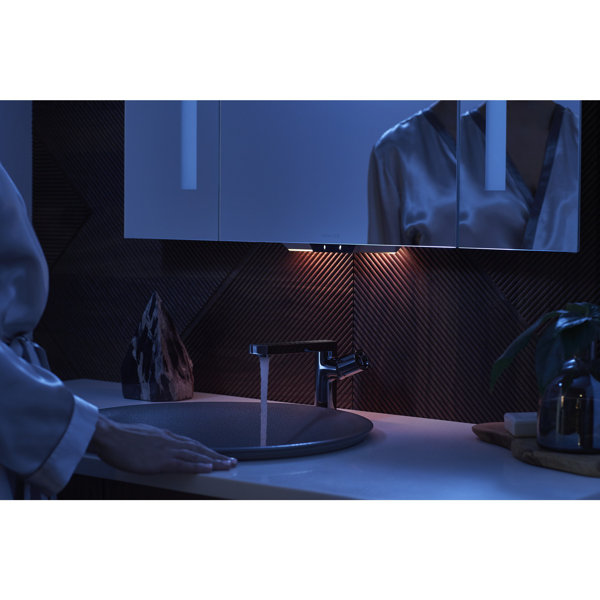 Kohler Verdera® Voice Lighted Mirror with Amazon Alexa & Reviews Wayfair